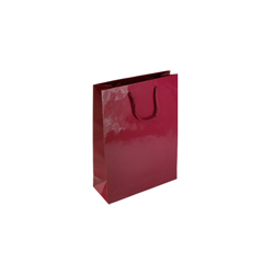 Extra Small Burgundy Paper Gift Bag